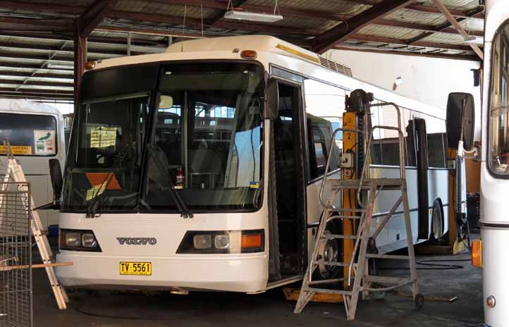 Casula Volvo B59 P&D TV5561